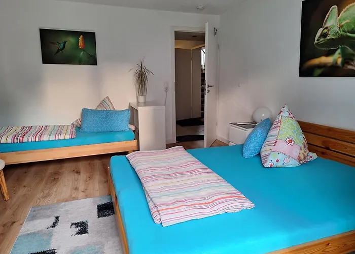 Schoeni\'S Zimmer